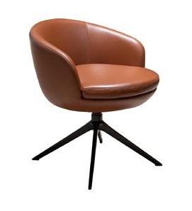Lounge Chairs model LC-1099