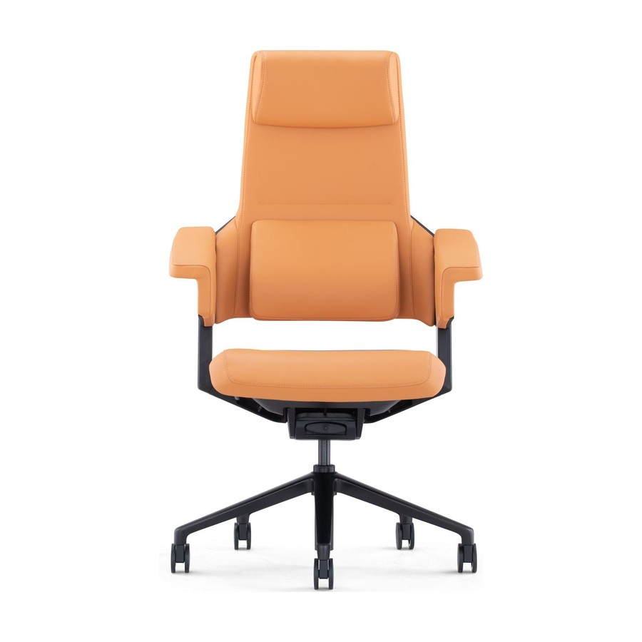 Office Chair model OC-1079